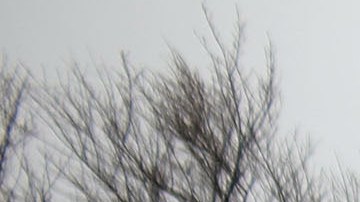 El joven fue arrestado por la policía de Long Island.