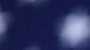 Según el DNC, el 99% de los delegados firmaron la petición de nominación de Harris.