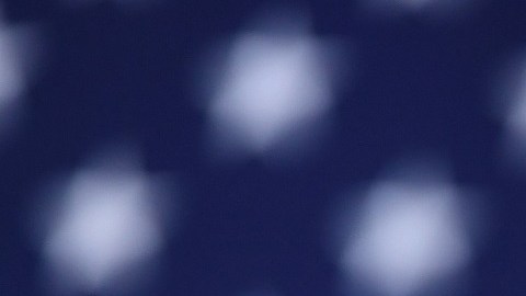 Según el DNC, el 99% de los delegados firmaron la petición de nominación de Harris.