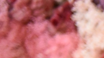 Amber Heard fue captada mientras compraba ropa en una tienda con descuentos