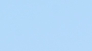 El bisonte atacó a una familia que se le acercó demasiado.