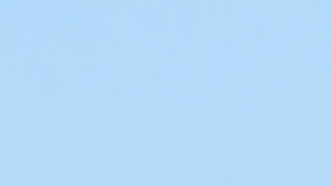 El bisonte atacó a una familia que se le acercó demasiado.