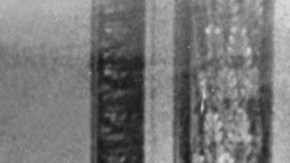Coronación de la reina Isabel II en junio de 1953.