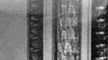 Coronación de la reina Isabel II en junio de 1953.