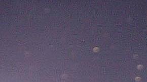 Tony Siragusa celebra tras haber conseguido el Super Bowl XXXV ante New York Giants.