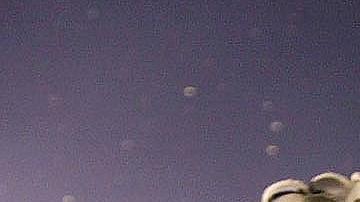 Tony Siragusa celebra tras haber conseguido el Super Bowl XXXV ante New York Giants.