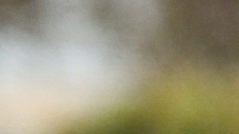 Carson Pickett en 2019 durante su primera etapa como futbolista en la W-League de Australia.