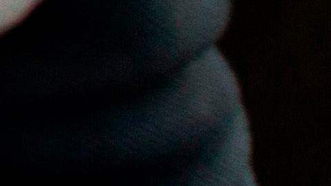 Un hombre rescató a una cría hembra de manatí.