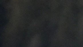 La mujer murió horas después de haber sido atacada por el bisonte.