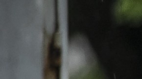 Fuertes lluvias con granizo provocan inundaciones en varias zonas de la Ciudad de México