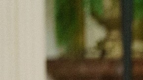 El presidente Biden confía en que su homólogo mexicano, López Obrador, acuda la Cumbre de las Américas.