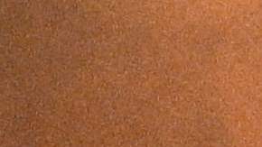 Camille Vasquez dice que el rumor sobre su supuesto romance con Johnny Depp le parecía ofensivo: “es desafortunado y decepcionante".