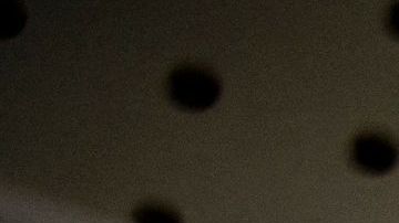 Llegará cerca de 1 millón de libras de fórmula infantil Gerber Good Start Gentle desde una planta de Nestlé en México.