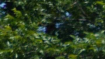 Tiroteo Uvalde casa abuelos