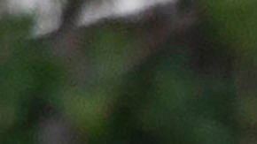 Al menos cuatro personas murieron en un tiroteo en el edificio médico Natalie en el campus del hospital.