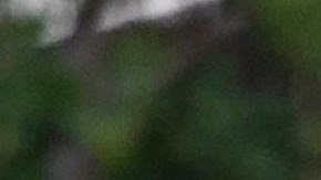 Al menos cuatro personas murieron en un tiroteo en el edificio médico Natalie en el campus del hospital.