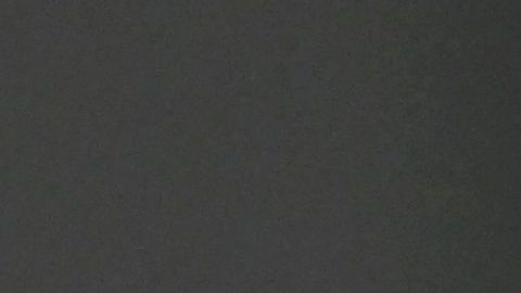 El brasileño Marcelo quería continuar su carrera en la MLS.