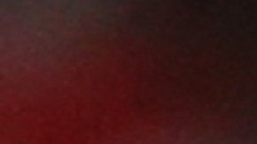 Perú quiere renovar a Ricardo Gareca a como de lugar