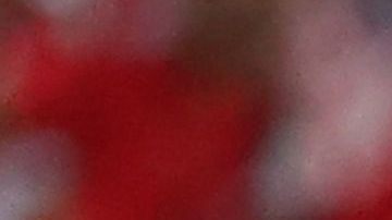 Australia y Perú no se hicieron daño en el tiempo reglamentario, por eso todo se definió desde el punto penalti.