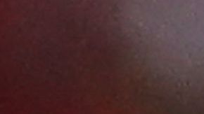 Andrew Redmayne celebra tras detener el último penal a Perú.