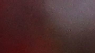 Andrew Redmayne celebra tras detener el último penal a Perú.