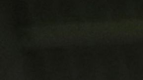 Andrew Redmayne posa para un selfie con los aficionados tras ser el héroe en la tanda de penales contra Perú.