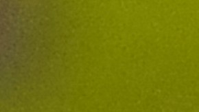 Christian Pulisic fue uno de los jugadores que se quejó del mal estado de la cancha.