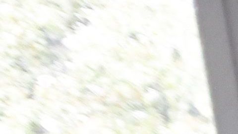 Centro cuido ancianos