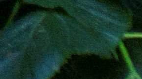 UKRAINE-RUSSIA-CONFLICT