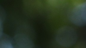 Rudy Giuliani Speaks To Media Members At The White House