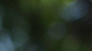 Rudy Giuliani Speaks To Media Members At The White House