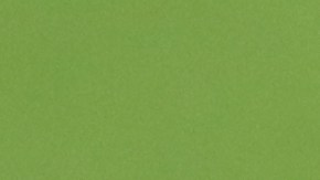 Ron Gronkowski se retirará tras haber disputado 11 temporadas en la NFL.