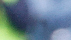 Josef Martínez suma tres goles en siete encuentros durante la temporada 2022 de la MLS.