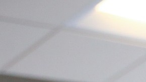 Un grupo contra inmigrantes ahora alerta sobre el aumento de extranjeros en EE.UU.