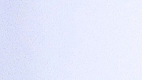 Arquidiócesis New Orleans