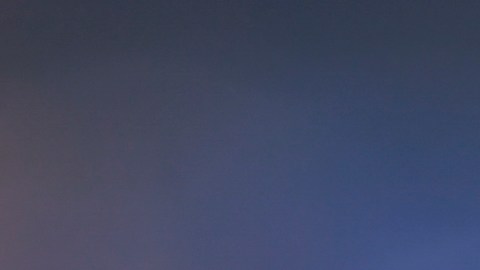 Miguel 'Piojo' Herrera sonríe durante un encuentro ante Toluca por la Liga MX.