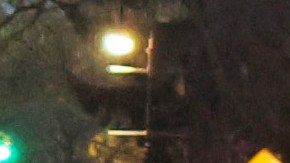 El pistolero, vestido completamente de negro, huyó a pie por la calle 95 East.