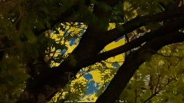 El incidente tuvo lugar cerca de las calles 14th y U Northwest.