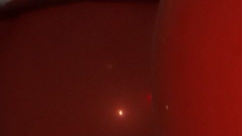 Jessica Alves, la "Barbie humana".