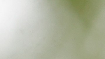 Wells Fargo Championship - Final Round