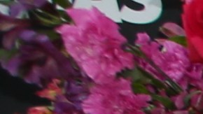 Ana Patricia Gámez.