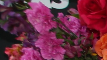 Ana Patricia Gámez.