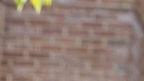 Ben Chew y Camille Vasquez, abogados de Johnny Depp.