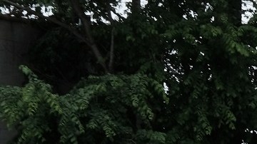 El precio de la gasolina en EE.UU. alcanzó nuevo récord esta semana.