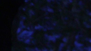 Estrellas de Hollywood buscan representaciones responsables de armas en pantalla.