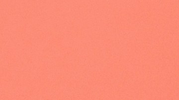 ¿Zendaya en la dulce espera? Una broma generó rumores de su posible embarazo