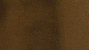 Senadora Susan Collins