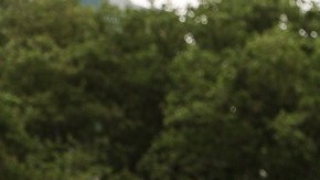 La comunidad hispana es una de las más afectadas por la violencia armada en EEUU.