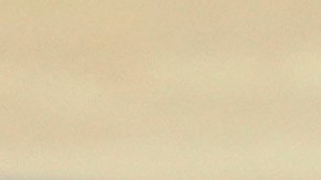 El gran parecido del imitador con Klay Thompson fue fundamental para que ingresara sin problemas al tabloncillo del Chase Center.