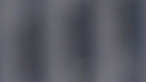 Tom Brady, NFL, Tampa Bay Buccaneers